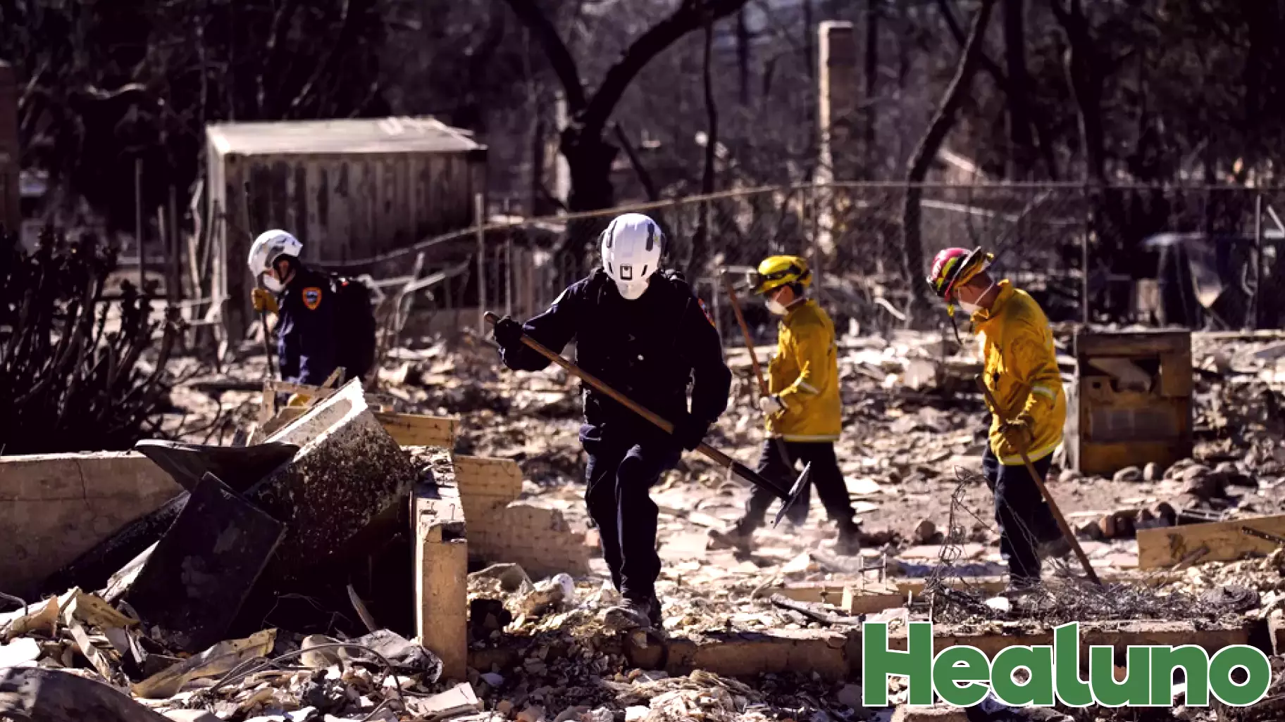 Los Angeles County Health Officer Halts Fire Debris Removal for Safety Inspections