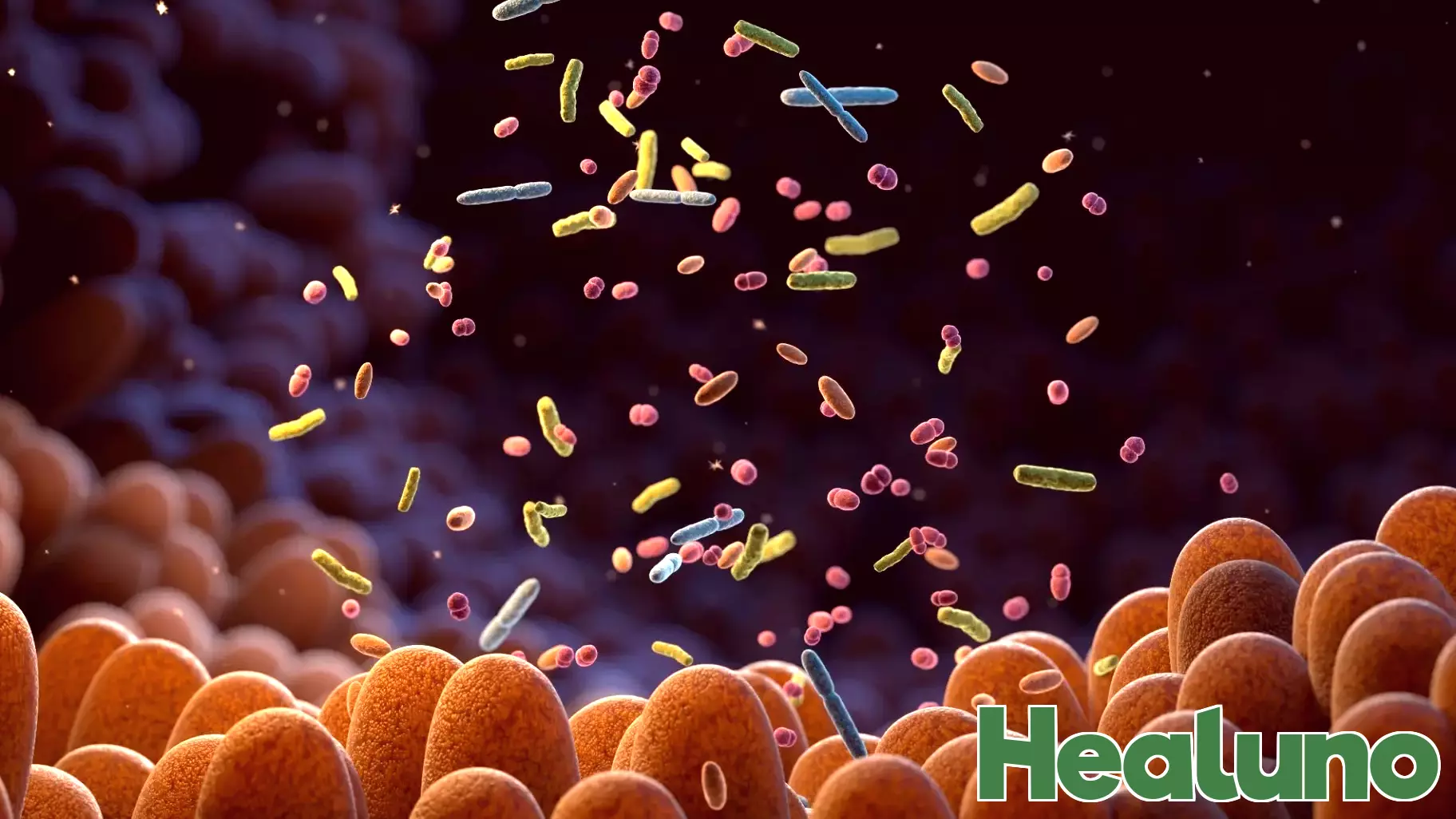 The Impact of Gut Bacteria on Health Throughout Life Stages