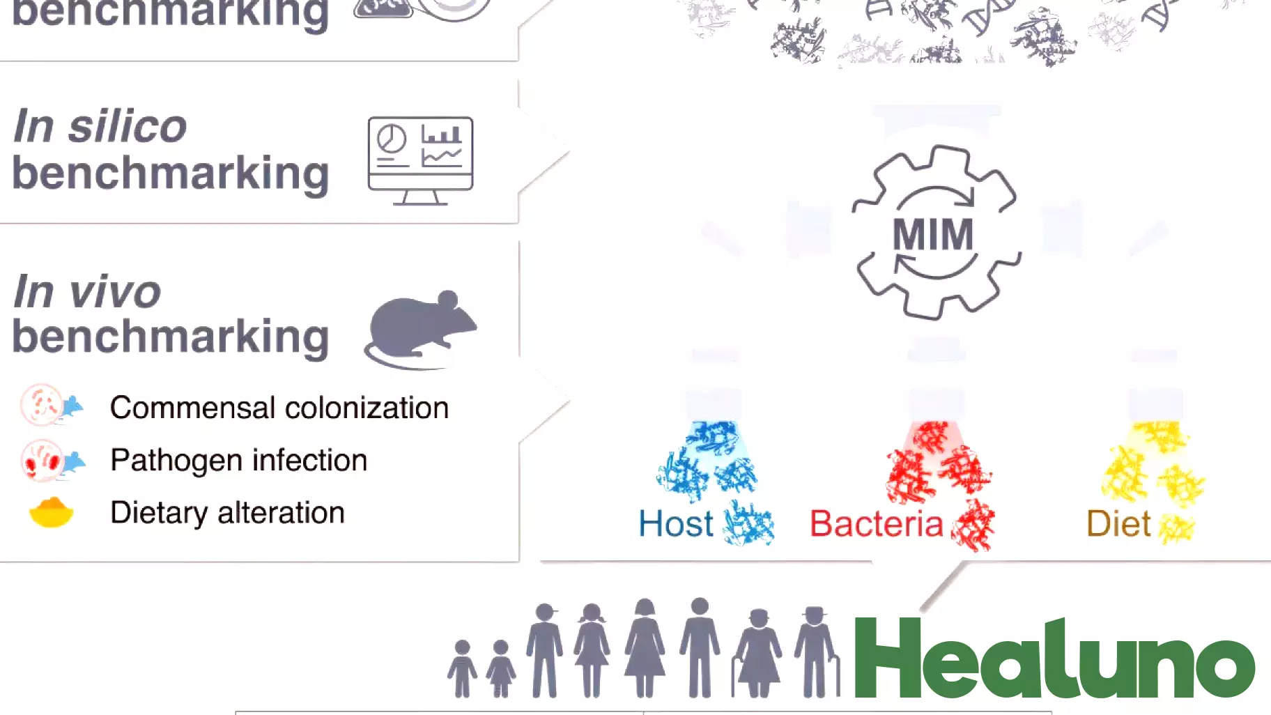 Unveiling Intestinal Secrets: How Protein Activity Maps Reflect Our Health