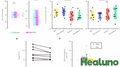 Breakthrough Study Sheds Light on Brain Stimulation's Role in Enhancing Cognition and Decision-Making